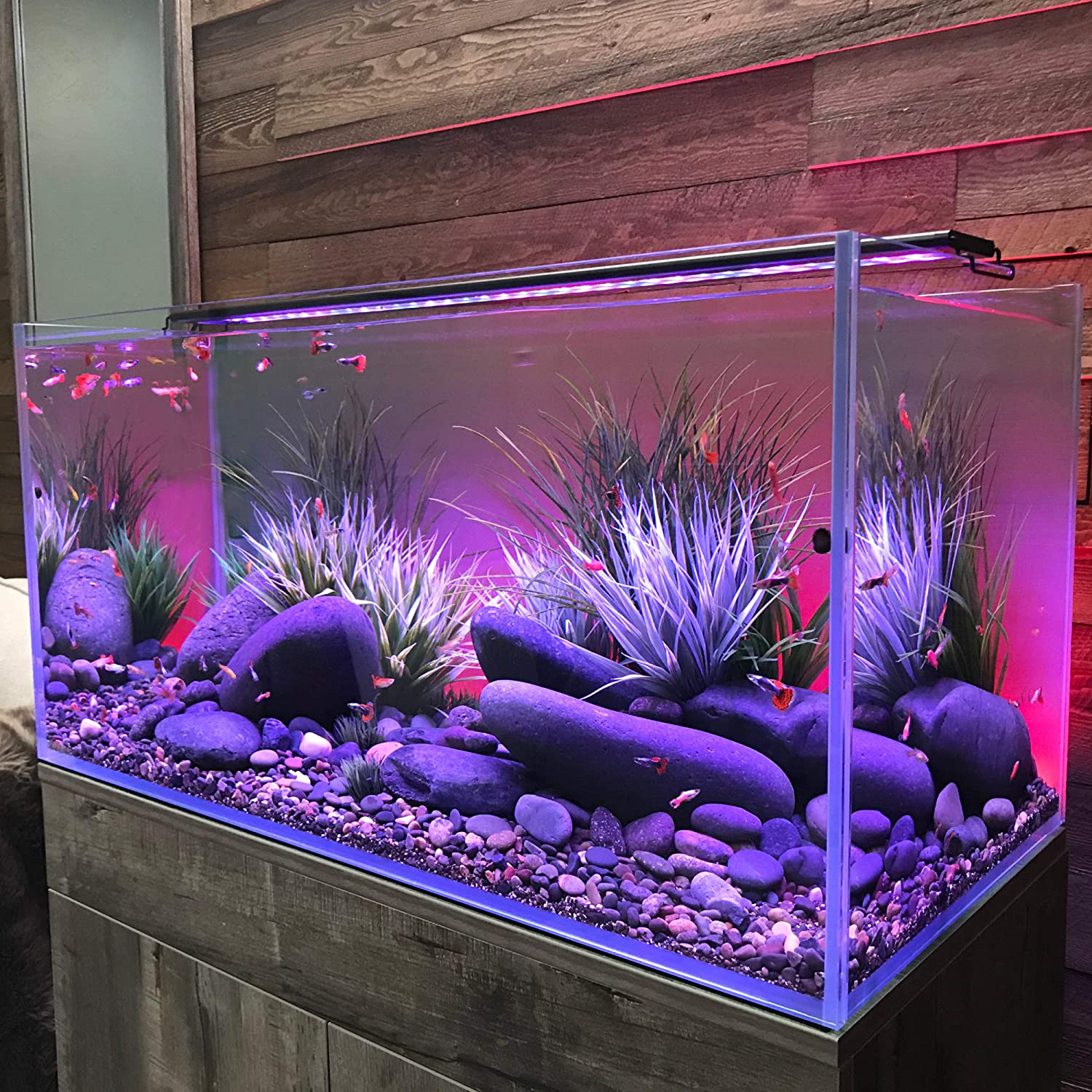 Serene Aquarium and Audio Aquatic Experience Kit | – KOL PET