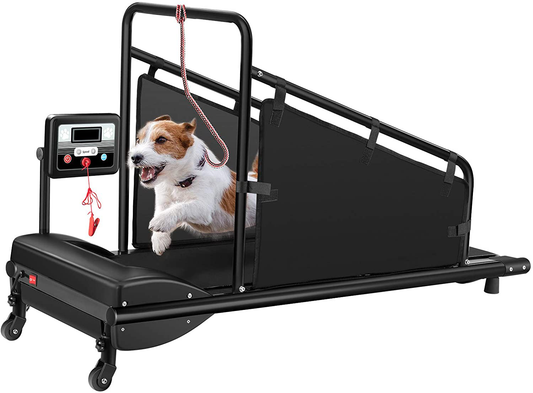 QINTH Dog Treadmill Small Dogs, Pet Dog Running Machine, with Display  Screen, Speed 0.8-12 Km/H, Indoor Exercise Activity, for Large/Medium-Sized  Dogs