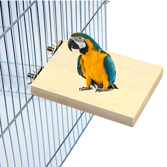 Bird Perch Stand Platform,Bird Perches Stand Toy, Wood Parrot Perch Stand  Platform for Pet Parrot Budgies Parakeet Cockatiels Conure Lovebirds Rat  Mouse Cage Accessories Exercise Toys (DK NAT)