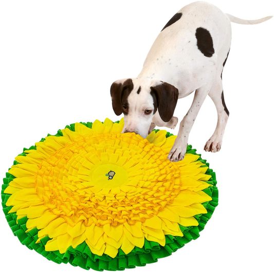 FOSSA Dog Snuffle Mat, Pet Food Feeding Mat with 8 Carrots Plush Treat –  KOL PET