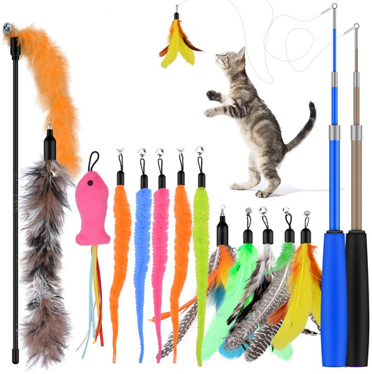 Oziral Cat Teaser, 15PCS Retractable Cat Toy Feather Teaser Cat Toy Ca –  KOL PET