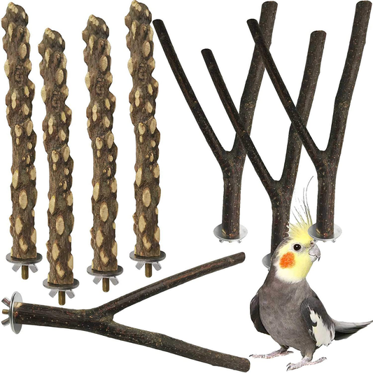 Kathson Natural Wood Bird Perch Parakeet Stand Platform Parrot Paw Gri –  KOL PET