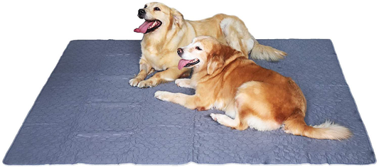  Dog Pee Pad Washable-Extra Large 72x72/65x48 Instant Absorb  Training Pads Non-Slip Pet Playpen Mat Waterproof Reusable Floor Mat for  Puppy/Senior Dog Whelping Incontinence Housebreaking : Pet Supplies