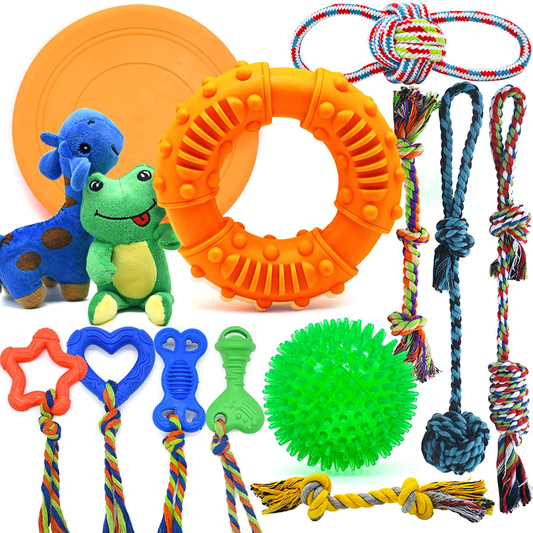 DSA Pets Dog Toy Set – 8 Pcs Squeaky Toys for Small and Medium Dogs + 2 Pcs  Bonus Tug Ropes – Spiky Dog Balls – Interactive IQ Treat Ball – Durable Dog  Boredom Toys – Stimulating Dog Toys