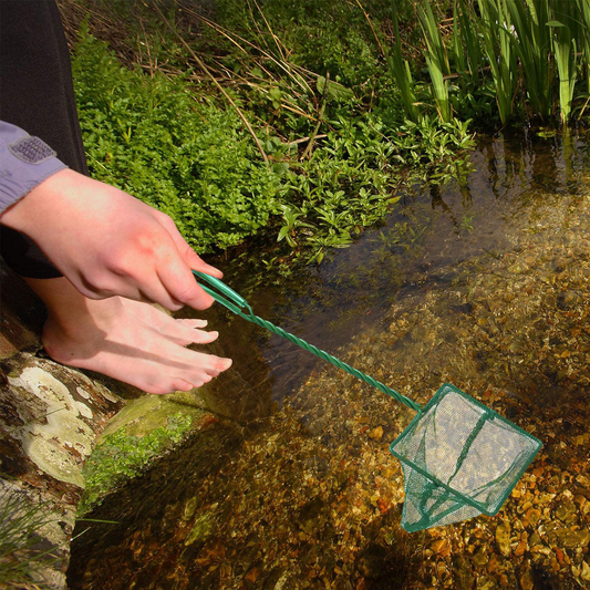 Pawfly 4 inch Aquarium Net Fine Mesh Small Fish Catch Nets with Plastic Handle - Green