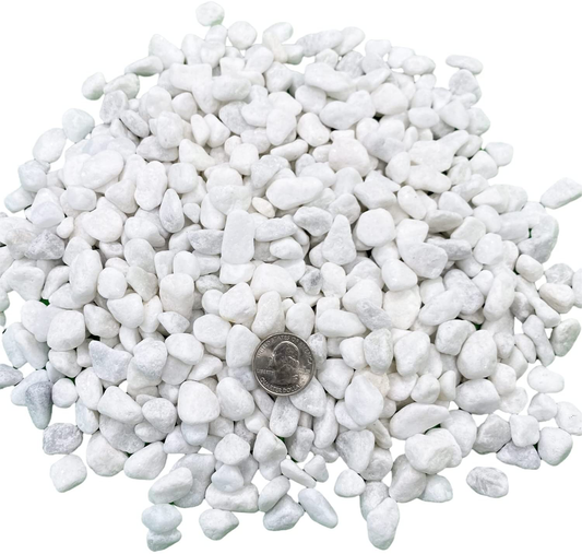 White Pebbles for Plants Garden Vases 7 lb White Rocks Gravel Decorative  Stone 1/2