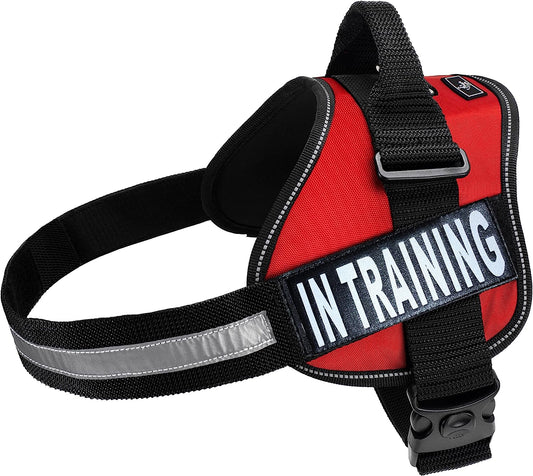 Service Dog Vest Harness and Leash Set, Animire in Training Dog Harness  with 8 Dog Patches, Reflective Dog Leash with Soft Padded Handle for Small