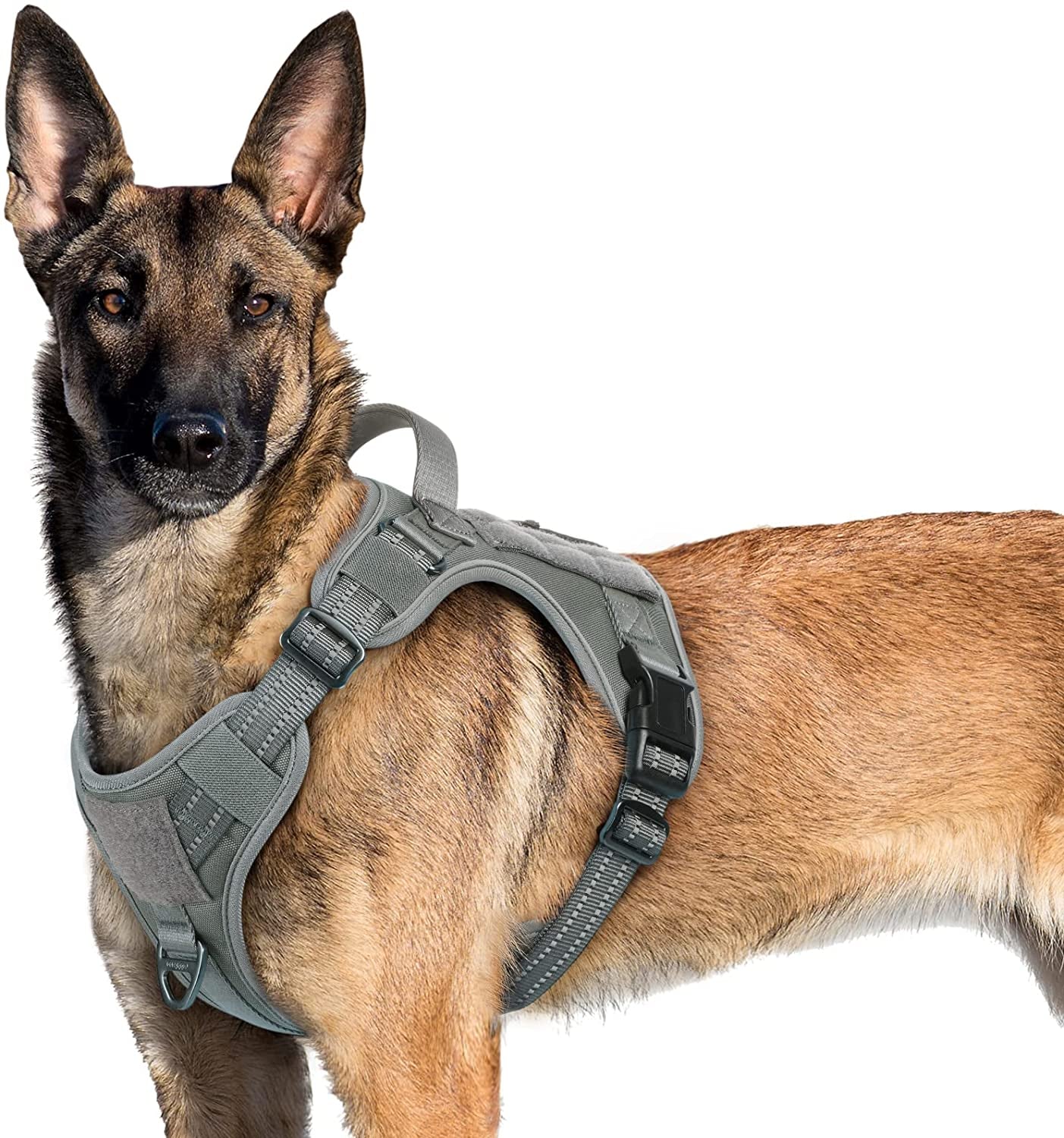 military working dog harness