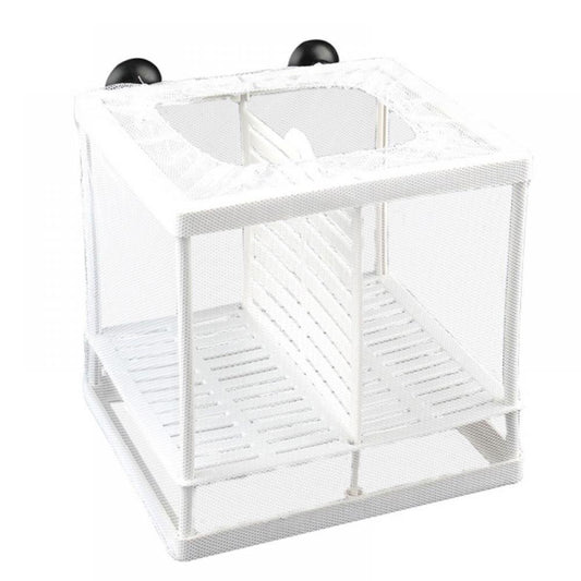 Fish Breeder Net Box for Aquarium - Fish Isolation Algeria