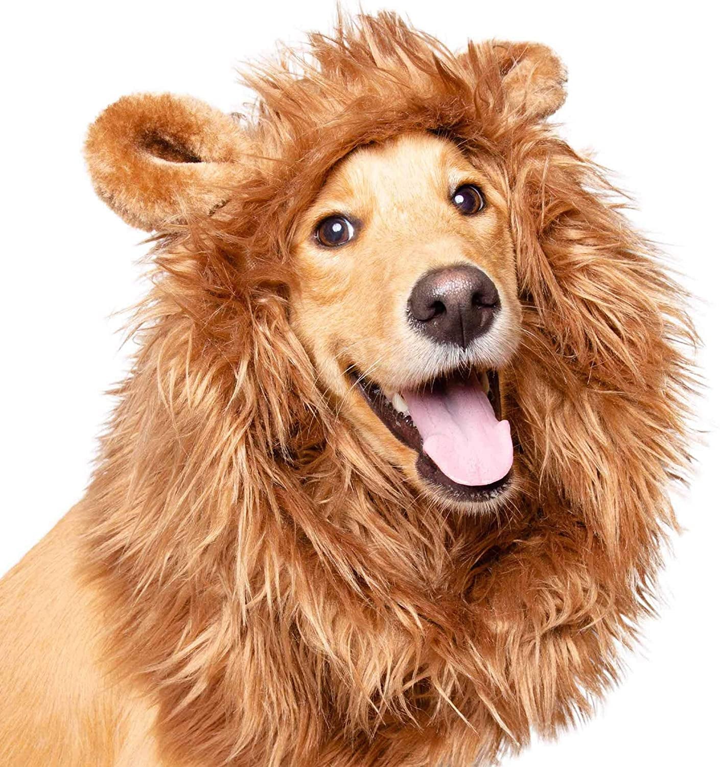 Pet Krewe Dog Lion Mane Halloween Costume Lion Mane for Large and Smal –  KOL PET