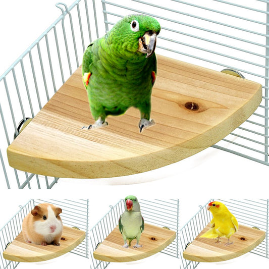 Bird Perch Stand Platform,Bird Perches Stand Toy, Wood Parrot Perch Stand  Platform for Pet Parrot Budgies Parakeet Cockatiels Conure Lovebirds Rat  Mouse Cage Accessories Exercise Toys (DK NAT)