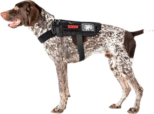 Onetigris No Pull Multi-Use Dog Harness for Medium Large Dogs