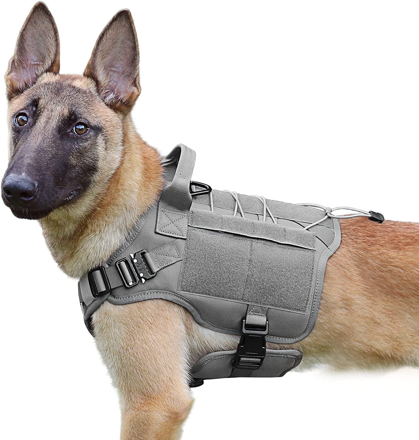 military working dog harness