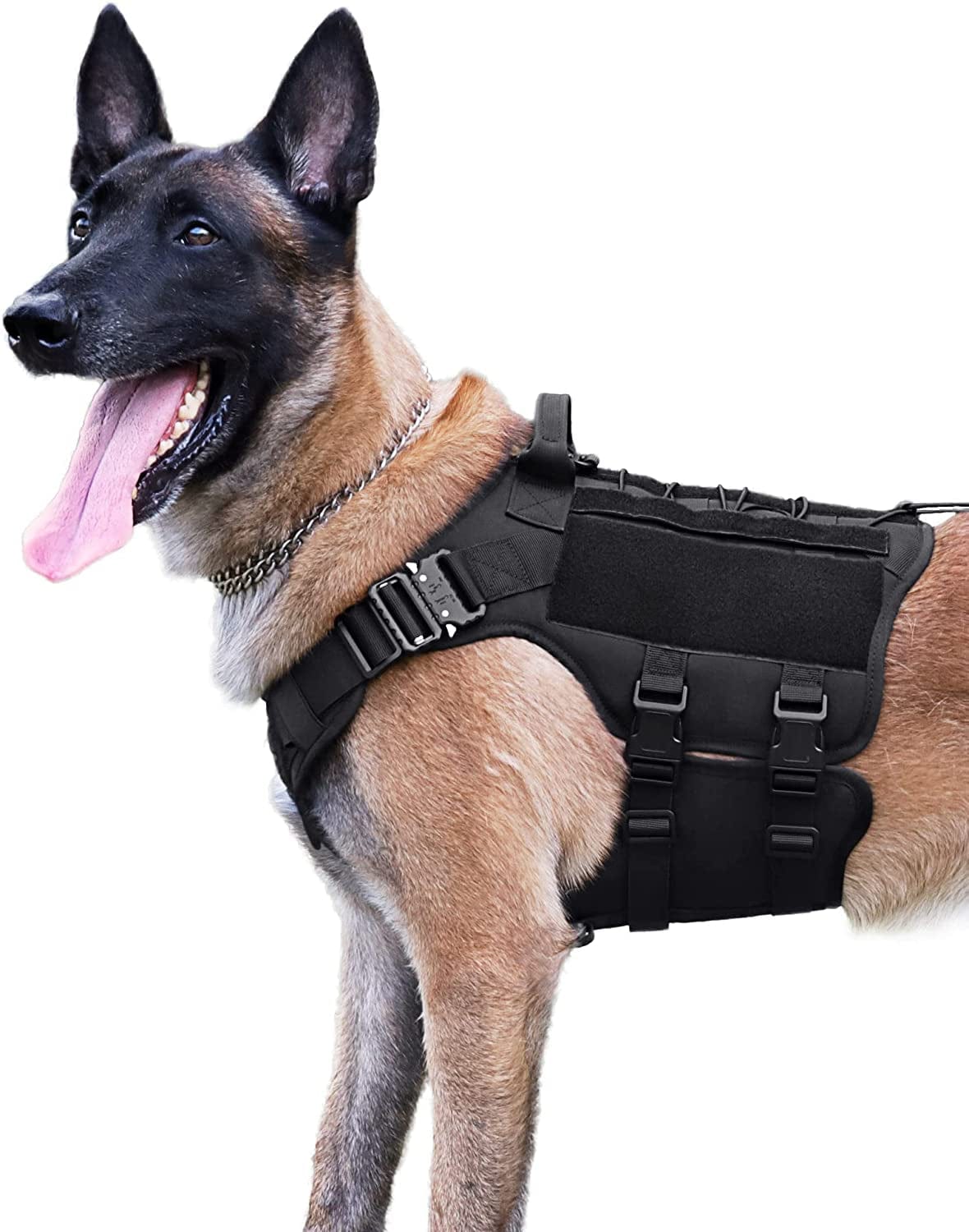 military working dog harness