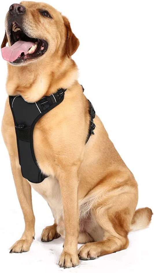 Service Dog Vest Harness and Leash Set, Animire in Training Dog Harness  with 8 Dog Patches, Reflective Dog Leash with Soft Padded Handle for Small