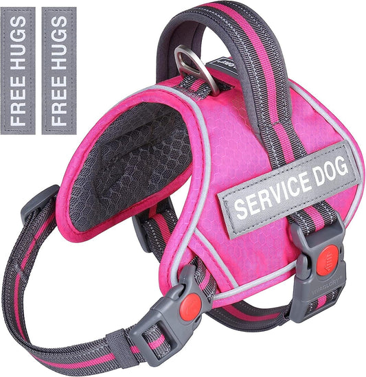 Service Dog Vest Harness and Leash Set, Animire in Training Dog Harness  with 8 Dog Patches, Reflective Dog Leash with Soft Padded Handle for Small,  Medium, Large, and Extra-Large Dogs (RED,XL) 