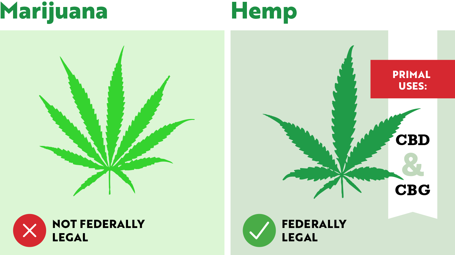 Marijuana vs. Hemp Comparison Chart