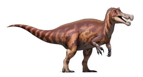 Irritator Challengeri longest dinosaur name