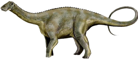 nigersaurus what dinosaur has 500 teeth dinosaur toys