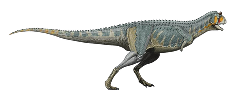 abelisauridea different dinosaur