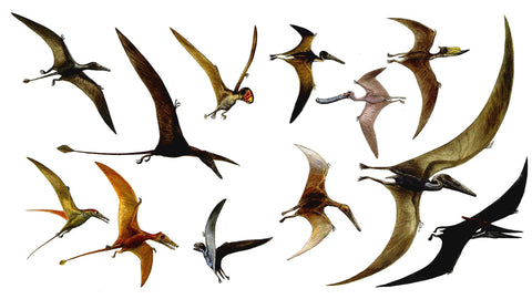 all flying dinosaurs