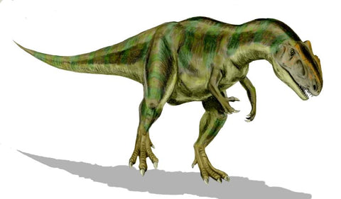 allosaurus types of dinosaurs