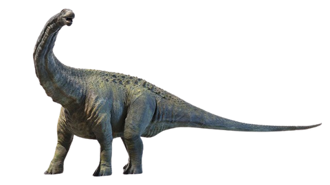 apatosaurus which dinosaur has 500 teeth dinosaur toys