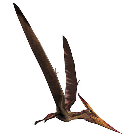 pterosaur ability to fly flying dinosaurs