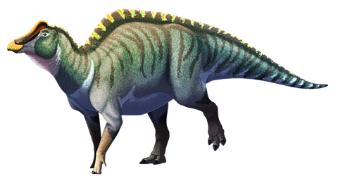 hadrosaur what dinosaur has 500 teeth dinosaur toys