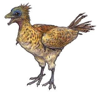 IBEROMESORNIS flying dinosaurs