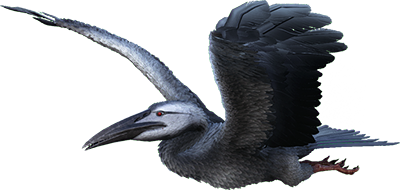 ichtyornis flying dinosaurs