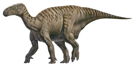 iguanodon different types of dinosaurs