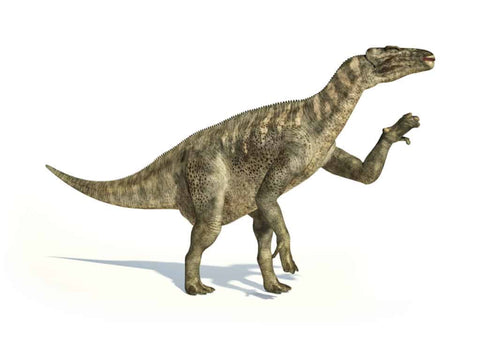 iguanodon what dinosaur has 500 teeth dinosaur toys