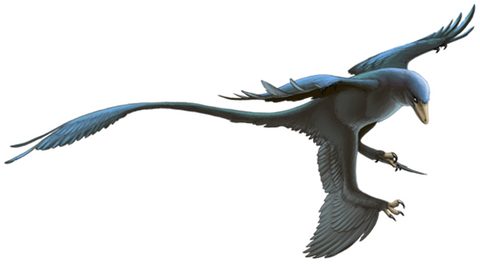 microraptors different dinosaurs