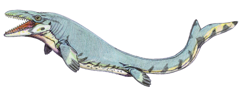 mosasaurus water dinosaurs