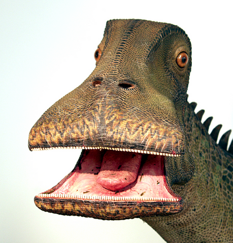 nigersaurus 500 teeth dinosaur toys