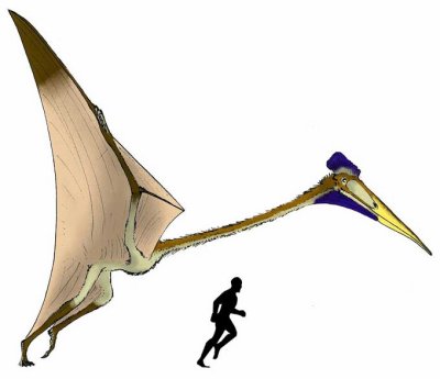 QUETZALCOATLUS flying dinosaurs