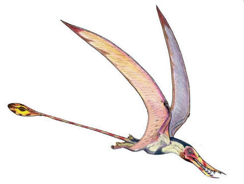 smaller flying dinosaurs