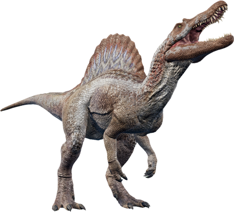 spinosaurus different dinosaur