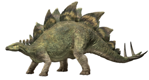 stegosaurus what dinosaur has 500 teeth