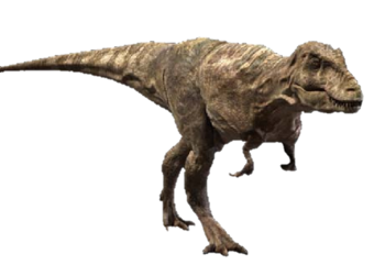 tarbosaurus types of dinosaurs