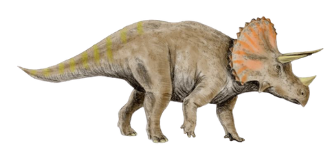 triceratops different dinosaur