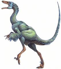 troodon what dinosaur has 500 teeth dinosaur toys