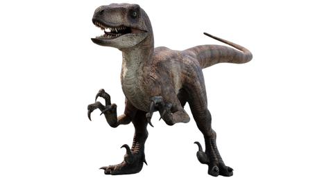 velociraptor which dinosaur has 500 teeth dinosaur toys