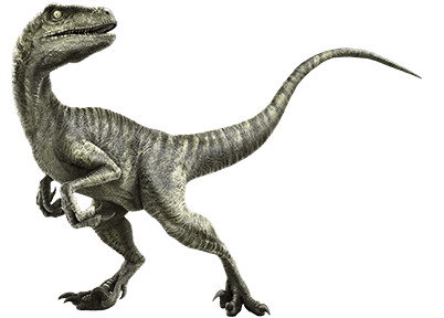 velociraptors different dinosaur
