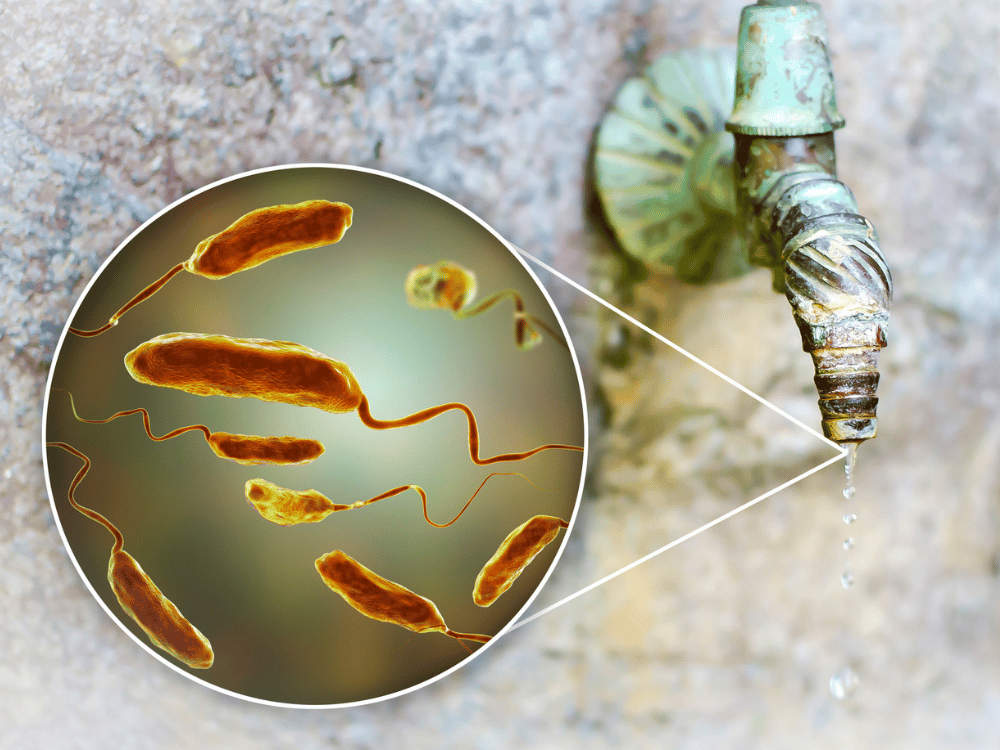 Common Contaminants Found in Tap Water and Their Effects on the Skin