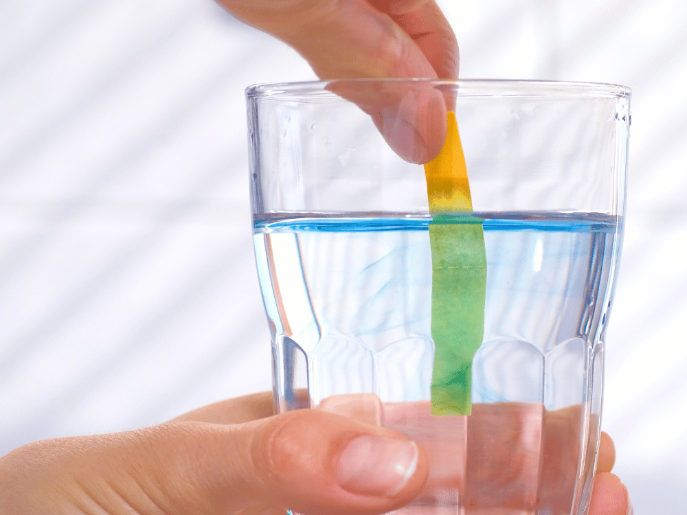 Water Alkalizers and Gastrointestinal Health