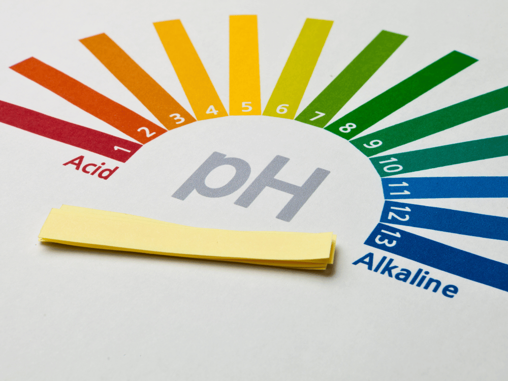 pH: The Key to Body Acidity and Alkalinity