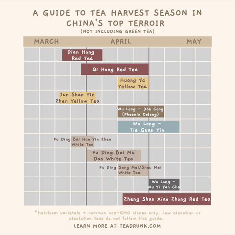 harvest season tea
