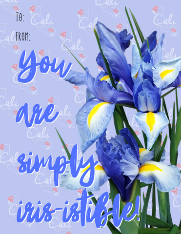 you are simply iris-istable